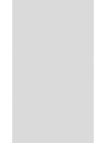 Настенная плитка ColorIT - Св. серый глянцевая 20х33